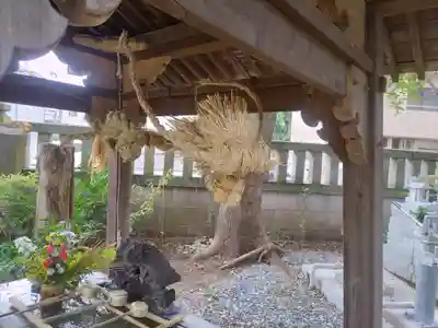 今井神社(千葉県)