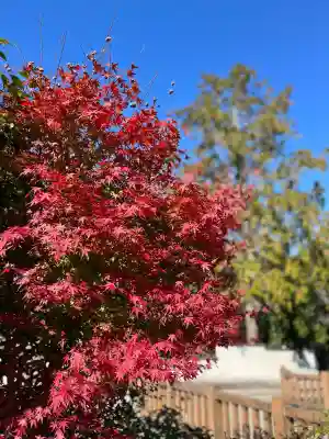 常樂寺(滋賀県)