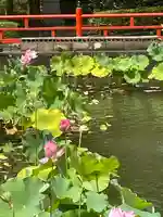 長弓寺(奈良県)