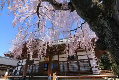 円通寺の本殿・本堂