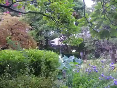 長谷寺のその他建物