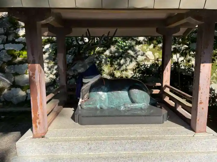 吉田神社の狛犬