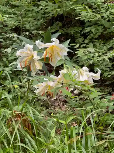 日枝神社(福島県)