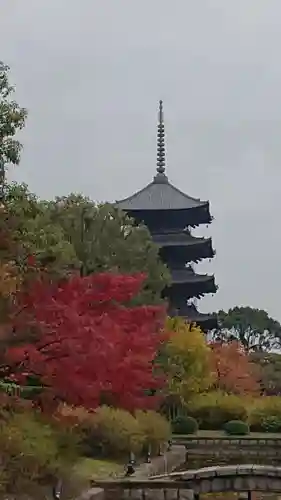 東寺（教王護国寺）の景色