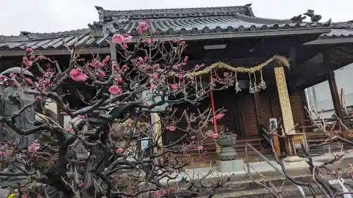 勝龍寺の本殿