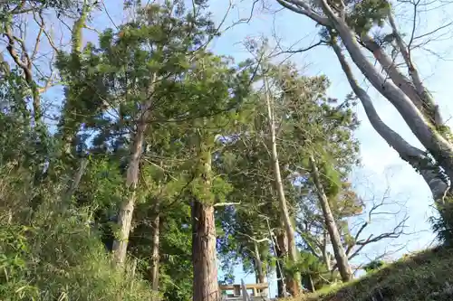 阿久津「田村神社」（郡山市阿久津町）旧社名：伊豆箱根三嶋三社の景色