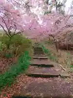 永谷天満宮の自然