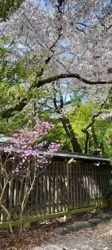 甲斐國一宮 浅間神社の自然