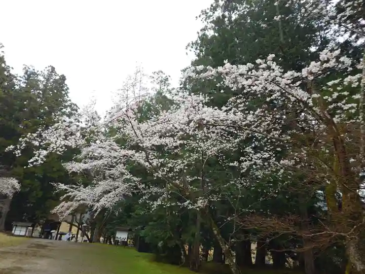 大斎原(熊野本宮大社旧社地)(和歌山県)