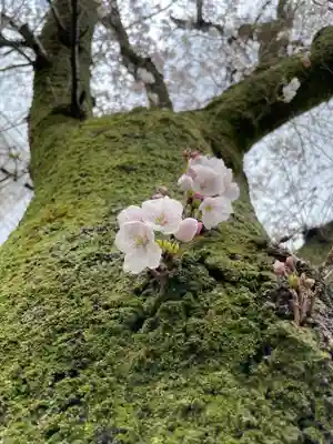 秩父札所十三番 慈眼寺(埼玉県)