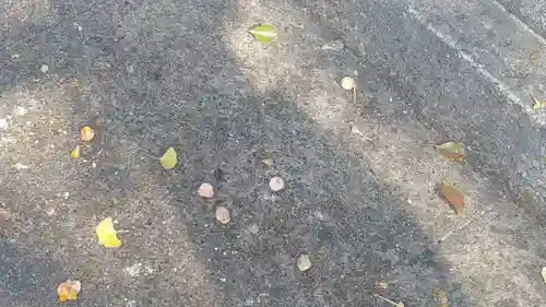 筥崎宮(福岡県)