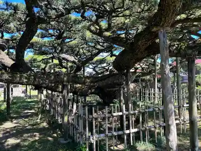 永安寺(愛知県)