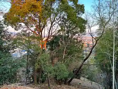 岡上神社(徳島県)