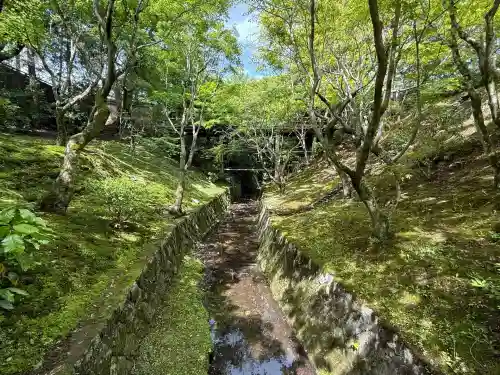 東福禅寺（東福寺）(京都府)