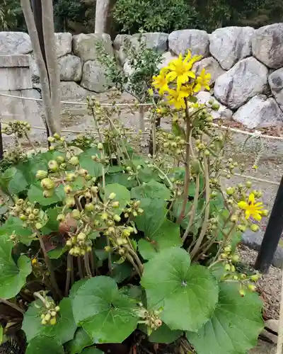 沙沙貴神社(滋賀県)