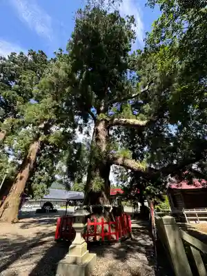 志和古稲荷神社(岩手県)