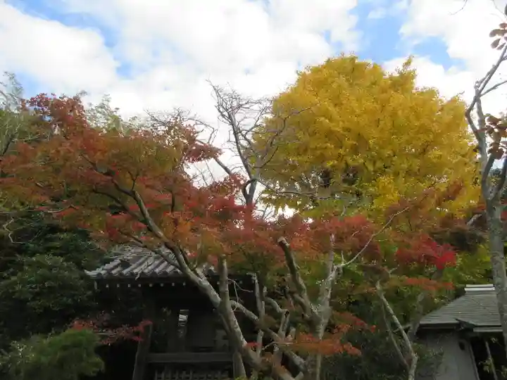 浄光明寺(神奈川県)