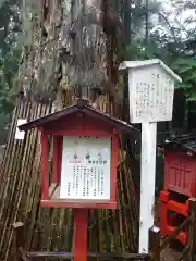 日光東照宮の建物その他