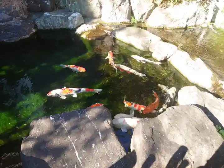 甚行寺(神奈川県)