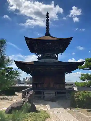 大樹寺（松安院大樹寺）(愛知県)