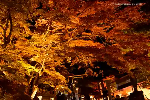 大山阿夫利神社の景色