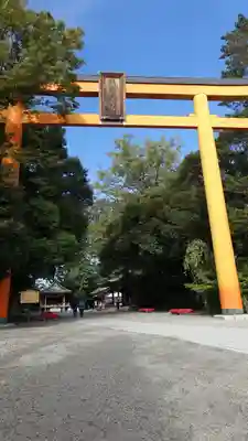 川越氷川神社の鳥居