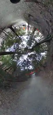 伏見稲荷大社(京都府)