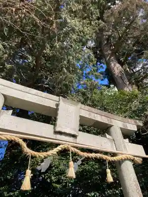 庭田神社(兵庫県)