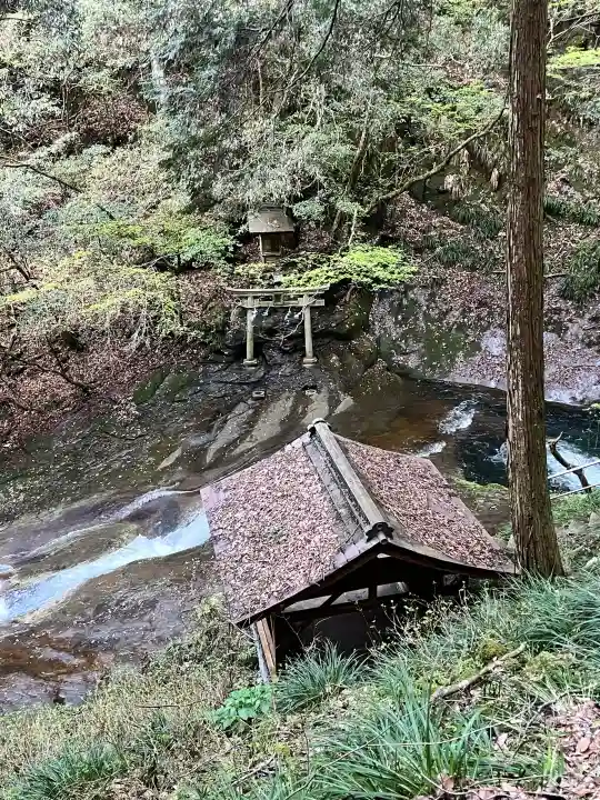 龍鎮神社の{uncategorized: "未分類", other: "その他", undefined: "問題あり", building: "その他建物", grave: "お墓", sacred_gate: "鳥居", guardian: "狛犬", statue: "像", buddha: "仏像", history: "歴史", nature: "自然", garden: "庭園", animal: "動物", pagoda: "塔", temizu: "手水舎", mountain_gate: "山門・神門", sanctuary: "本殿・本堂", subordinate: "末社・摂社", art: "芸術", scenery: "景色", jizo: "地蔵", ema: "絵馬", goshuin: "御朱印", omikuji: "おみくじ", items: "授与品その他", amulet: "お守り", goshuincho: "御朱印帳", eats: "食事", festival: "お祭り", votive_dance: "神楽", shichigosan: "七五三参", wedding: "結婚式", experience: "体験その他", initially: "初詣", around: "周辺", anti_infection: "感染症対策"}