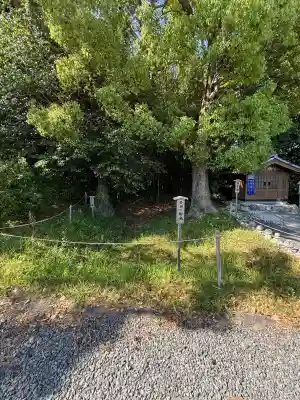 伊雜宮(皇大神宮別宮)の{uncategorized: "未分類", other: "その他", undefined: "問題あり", building: "その他建物", grave: "お墓", sacred_gate: "鳥居", guardian: "狛犬", statue: "像", buddha: "仏像", history: "歴史", nature: "自然", garden: "庭園", animal: "動物", pagoda: "塔", temizu: "手水舎", mountain_gate: "山門・神門", sanctuary: "本殿・本堂", subordinate: "末社・摂社", art: "芸術", scenery: "景色", jizo: "地蔵", ema: "絵馬", goshuin: "御朱印", omikuji: "おみくじ", items: "授与品その他", amulet: "お守り", goshuincho: "御朱印帳", eats: "食事", festival: "お祭り", votive_dance: "神楽", shichigosan: "七五三参", wedding: "結婚式", experience: "体験その他", initially: "初詣", around: "周辺", anti_infection: "感染症対策"}