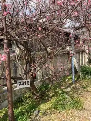 休天神社(兵庫県)
