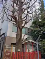 銀杏岡八幡神社(東京都)