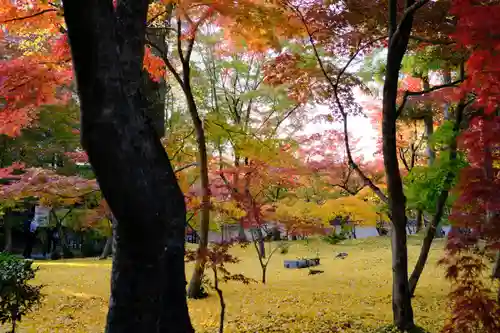 禅林寺（永観堂）の自然