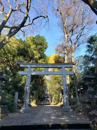 代々木八幡宮の鳥居