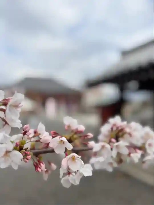 津観音(三重県)