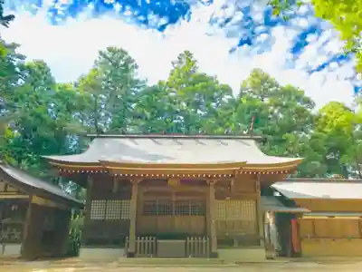阿夫利神社の本殿・本堂