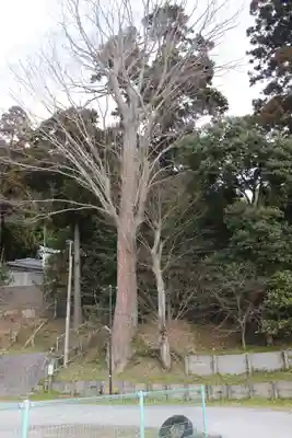 田間神社の自然