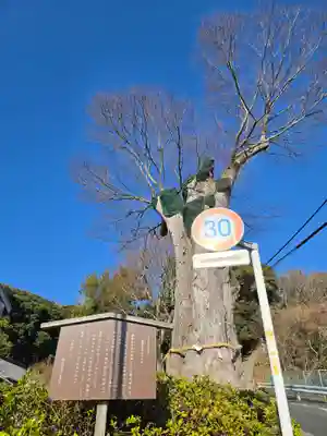 諏訪神社(静岡県)