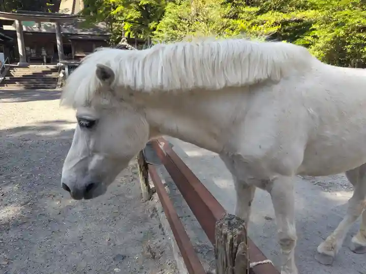 丹生川上神社(下社)(奈良県)