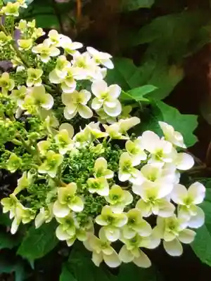 末廣神社(東京都)