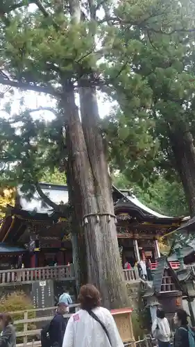 三峯神社(埼玉県)