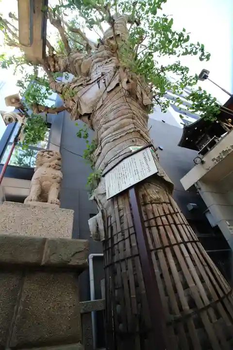 誕生八幡神社(東京都)