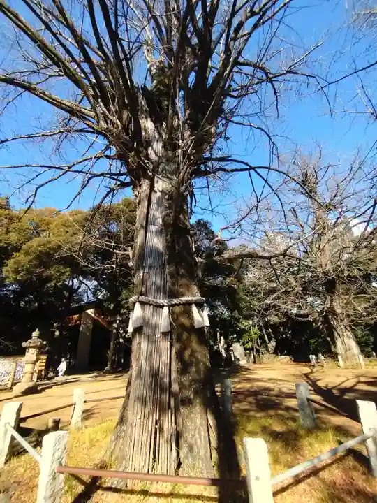 赤坂氷川神社(東京都)