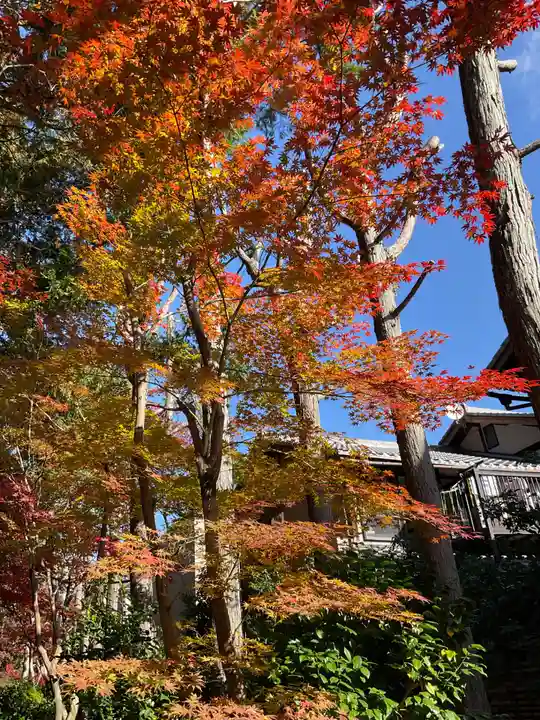 鹿王院(京都府)