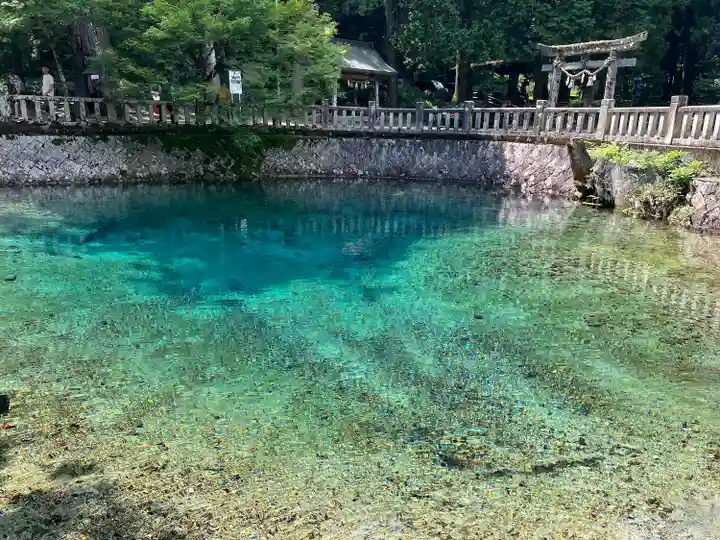 嚴島神社(山口県)