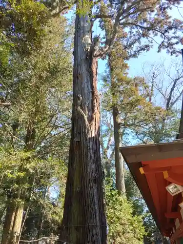 一言主神社(茨城県)