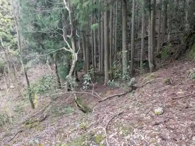 井戸神社の{uncategorized: "未分類", other: "その他", undefined: "問題あり", building: "その他建物", grave: "お墓", sacred_gate: "鳥居", guardian: "狛犬", statue: "像", buddha: "仏像", history: "歴史", nature: "自然", garden: "庭園", animal: "動物", pagoda: "塔", temizu: "手水舎", mountain_gate: "山門・神門", sanctuary: "本殿・本堂", subordinate: "末社・摂社", art: "芸術", scenery: "景色", jizo: "地蔵", ema: "絵馬", goshuin: "御朱印", omikuji: "おみくじ", items: "授与品その他", amulet: "お守り", goshuincho: "御朱印帳", eats: "食事", festival: "お祭り", votive_dance: "神楽", shichigosan: "七五三参", wedding: "結婚式", experience: "体験その他", initially: "初詣", around: "周辺", anti_infection: "感染症対策"}