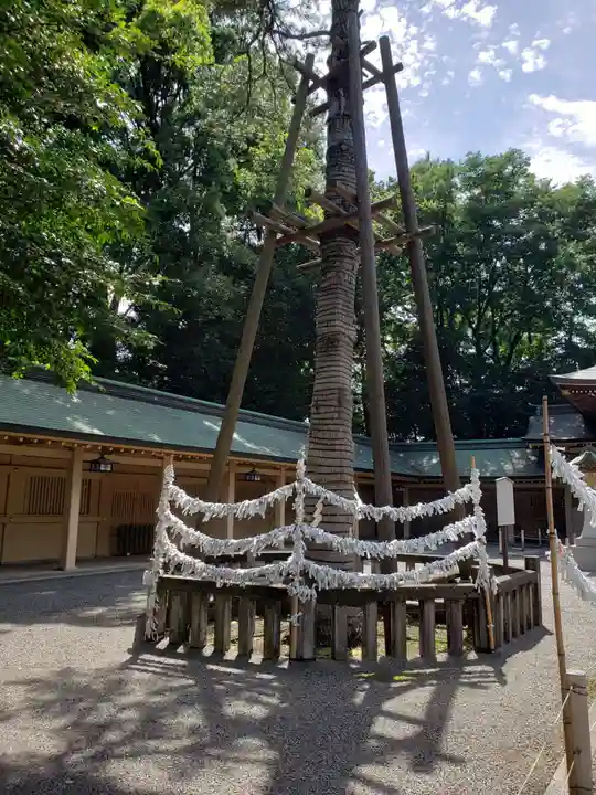 荻窪八幡神社(東京都)