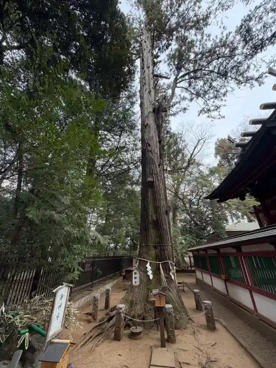 一言主神社の{uncategorized: "未分類", other: "その他", undefined: "問題あり", building: "その他建物", grave: "お墓", sacred_gate: "鳥居", guardian: "狛犬", statue: "像", buddha: "仏像", history: "歴史", nature: "自然", garden: "庭園", animal: "動物", pagoda: "塔", temizu: "手水舎", mountain_gate: "山門・神門", sanctuary: "本殿・本堂", subordinate: "末社・摂社", art: "芸術", scenery: "景色", jizo: "地蔵", ema: "絵馬", goshuin: "御朱印", omikuji: "おみくじ", items: "授与品その他", amulet: "お守り", goshuincho: "御朱印帳", eats: "食事", festival: "お祭り", votive_dance: "神楽", shichigosan: "七五三参", wedding: "結婚式", experience: "体験その他", initially: "初詣", around: "周辺", anti_infection: "感染症対策"}