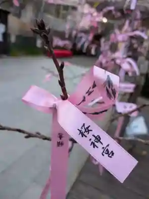 桜神宮(東京都)